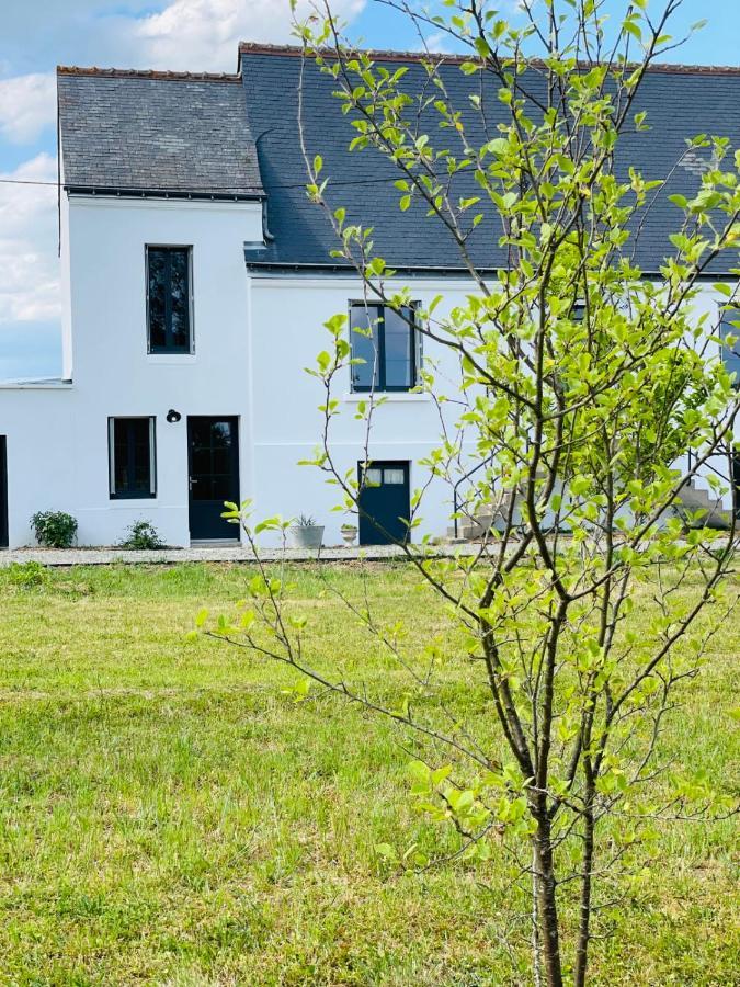La RicheLa Grange Du Pigeonnier Authenticity And Gentleness 10 Minutes From Tours别墅 外观 照片